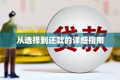 高要从选择到还款的详细指南