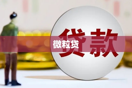 巴塘微粒贷