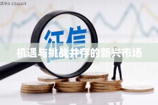 巩义机遇与挑战并存的新兴市场