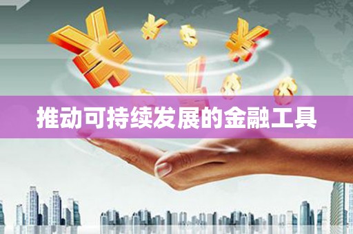 全南推动可持续发展的金融工具