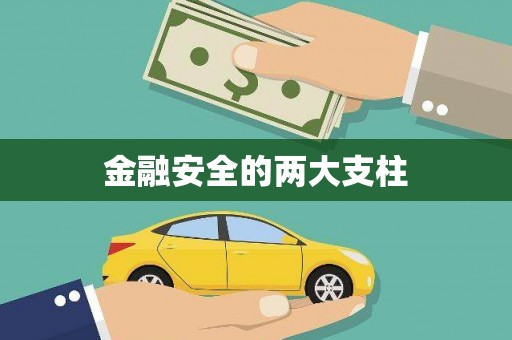 禹会金融安全的两大支柱