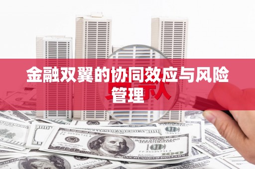 恒山金融双翼的协同效应与风险管理