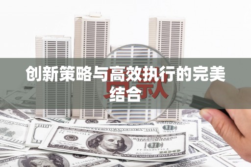 沈河创新策略与高效执行的完美结合