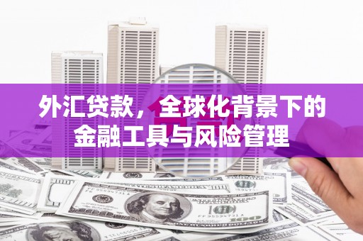 贺州外汇贷款，全球化背景下的金融工具与风险管理